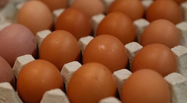 ГМО-курицы будут нести яйца, содержащие лекарства от рака