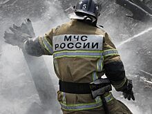 За прошедшую неделю пожарно-спасательные подразделения 157 раз выезжали на тушение загораний мусора и сухой растительности