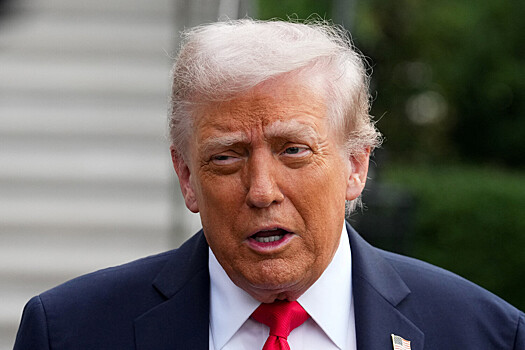 Трамп закрыл дело главы миграционной службы Хомана как бездоказательное