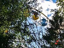 Новый руководитель ЦПКиО собирает совет из «активных горожан»