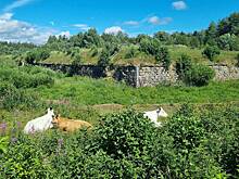 Русскую военную базу в Европе продали за 90 рублей