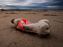 Экологи: Coca-Cola, PepsiCo и Nestlé третий год подряд стали главными пластиковыми загрязнителями в мире