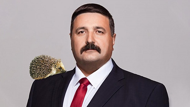 Чиновник предложил спасаться от змей ежами: что не так с этим советом