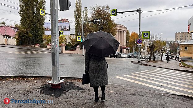 15 ноября температура в Пензенской области не опустится ниже ноля