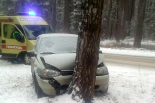 В Солотче «Калина» влетела в дерево. Пострадали двое детей