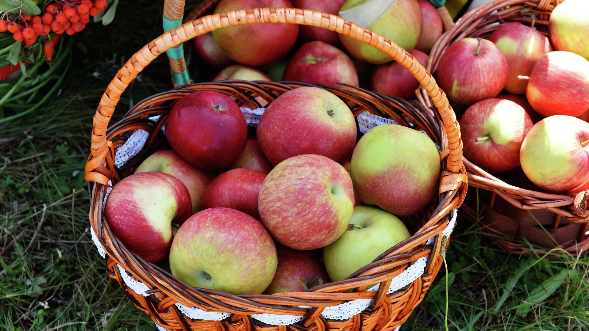 «Руспродсоюз» исключил дефицит яблок на российском рынке