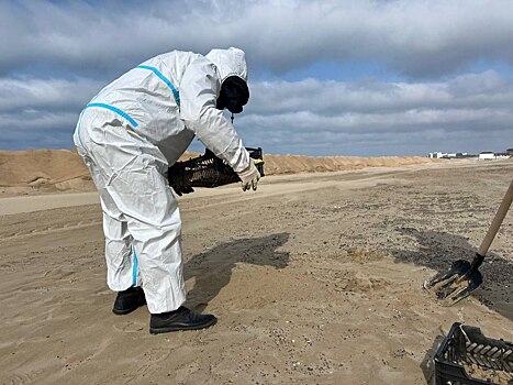 Стало известно, как долго будут очищать пляжи в Анапе
