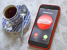 Операторы связи внедрят единый API для маркировки звонков до конца года