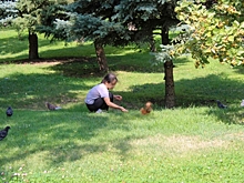 Бег, музыка и белки: как провести последние выходные сентября в Петербурге и Ленобласти