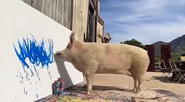 Картину свиньи из Южной Африки по кличке Пигкассо продали с аукциона за 26,5 тысяч фунтов стерлингов