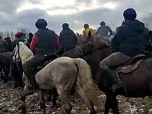 Под Москвой игру мигрантов с тушей козла сняли на видео