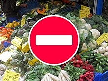 Ткачев: нужно продлить продэмбарго для развития АПК