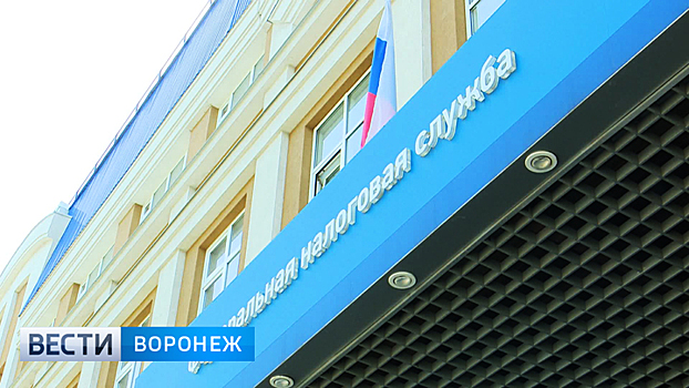 Воронежцы впервые получат уведомления о налоге на доходы физических лиц