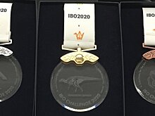 Московские школьники завоевали 17 наград международных олимпиад в 2020 году