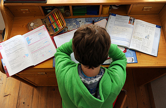 В российские школы планируют внедрить возможность проверки домашней работы с помощью искусственного интеллекта