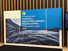 На WINTERCONGRESS – 2018 была представлена Стратегия развития спортивной индустрии России до 2035 года