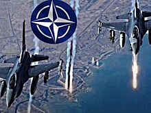 Литовские солдаты на учениях НАТО украли сухпайков на 121 тысяч евро