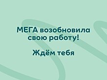 Аксайская &laquo;МЕГА&raquo; возобновила работу через час после закрытия
