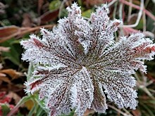 Россиян напугали заморозками