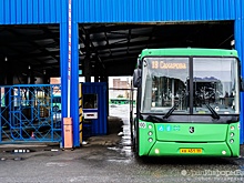 Екатеринбургская мэрия вызвала ФАС на автобусную дуэль