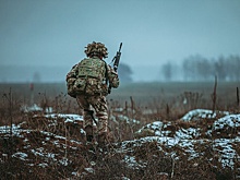 Депутат Барбашов: Оставшихся в ВСУ наемников спрячут от уничтожения