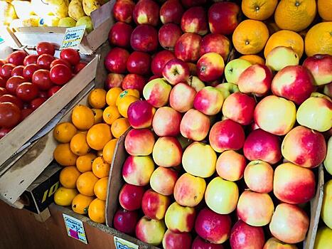 Аукцион на стройработы в Чите пытались выиграть продавцы овощей и фруктов