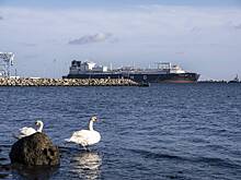 На Западе оценили «экстраординарное» решение ЕС против России