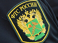 Таможенники начали год с большой прибыли