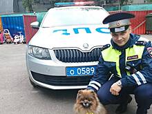 Дети расследуют ограбление