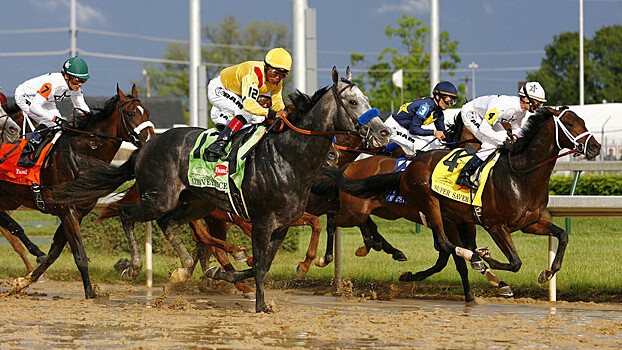В США раскрыта схема применения допинга в конном спорте