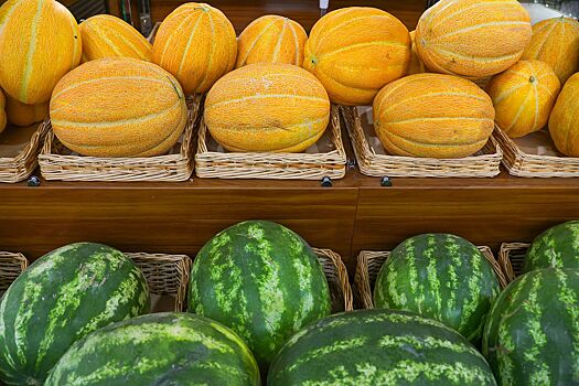 Продажи арбузов и дынь на ярмарках выходного дня превысили 600 тонн