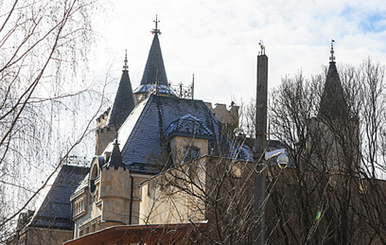 Риелтор высказался о сносе замка Пугачевой в деревне Грязь