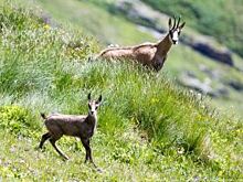 Биосферный заповедник стал частью масштабного фотопроекта