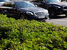 Российских водителей начнут штрафовать за слишком шумные автомобили