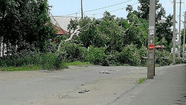 На Алтае после урагана убирают поваленные деревья и восстанавливают электроснабжение