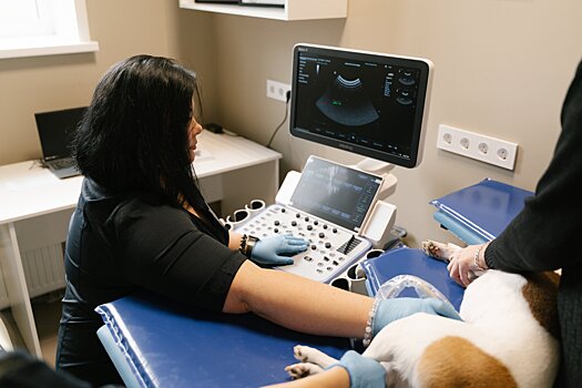 В Ижевске открылась седьмая государственная ветеринарная клиника