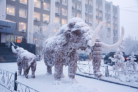 Трескучий мороз: в Россию неожиданно пришла зима