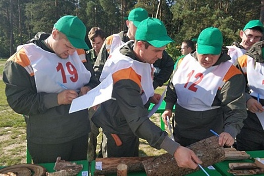 Стали известны лучшие лесники и лесные пожарные Московской области
