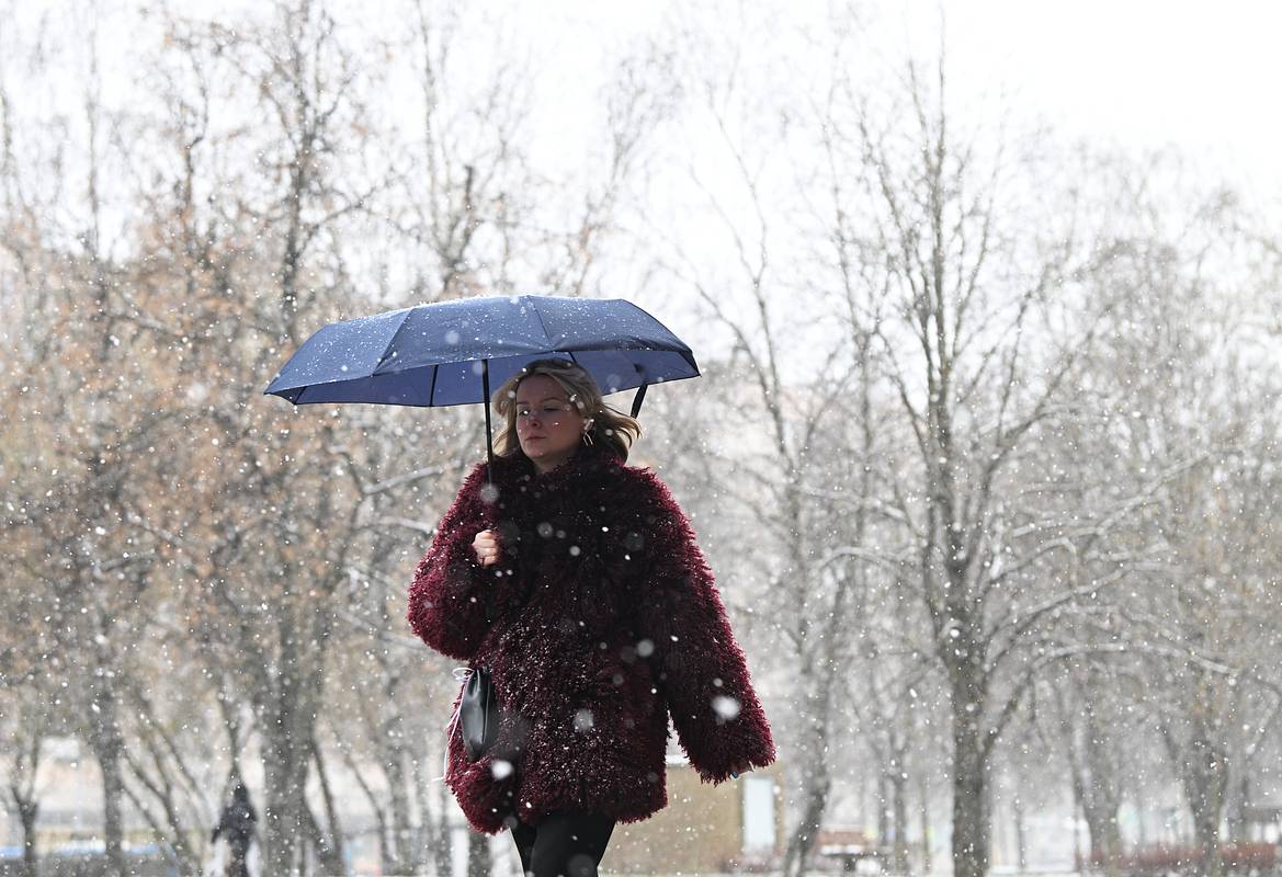 �������&nbsp; ���������� ������� �������� ����� �����