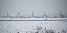 В Москве из-за снегопада отменены и задержаны десятки рейсов