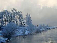Врач объяснил, чем опасно резкое похолодание