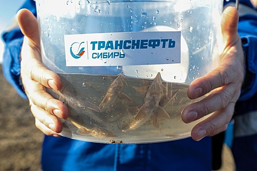Специалисты АО "Транснефть – Сибирь" провели 73 тысячи экологических исследований