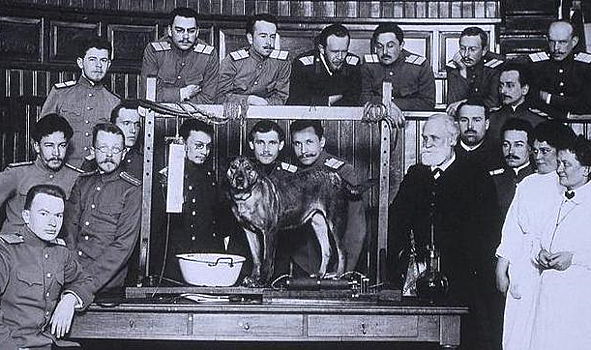 И п павлов ул ленина 24 фото Фотографии со страницы сообщества "Музей И.П. Павлова в Колтушах:)" Фотография