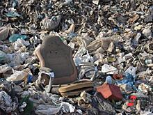 Семья депутата взяла ответственность за чистоту Ростовской области