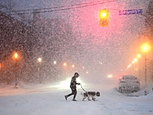 Как обстоят дела со снегопадом в других странах