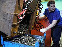 Россияне назвали справедливую минимальную зарплату