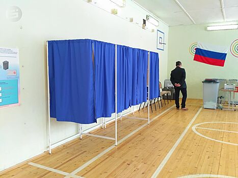 Итоги президентских выборов в Удмуртии: за кого голосовали города и районы