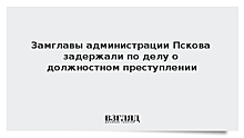 Замглавы администрации Пскова задержали по делу о должностном преступлении