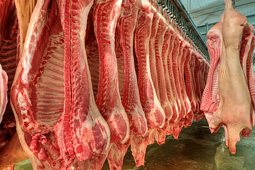 Филиппины запретили ввозить свинину из Германии