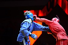 В турнире по боевому самбо участвовали спортсмены из 20 регионов России